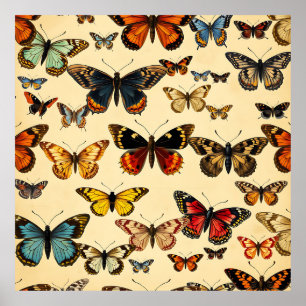 Affiche Modèle de collection de papillons vintage