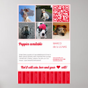 Affiche Modèle de flyer à vendre pour chiots imprimables à