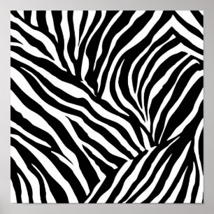 Affiche Modèle de page de coloriage à rayures zèbrées à ha