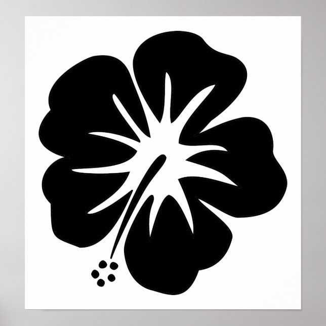Affiche Modèle Hibiscus (Devant)