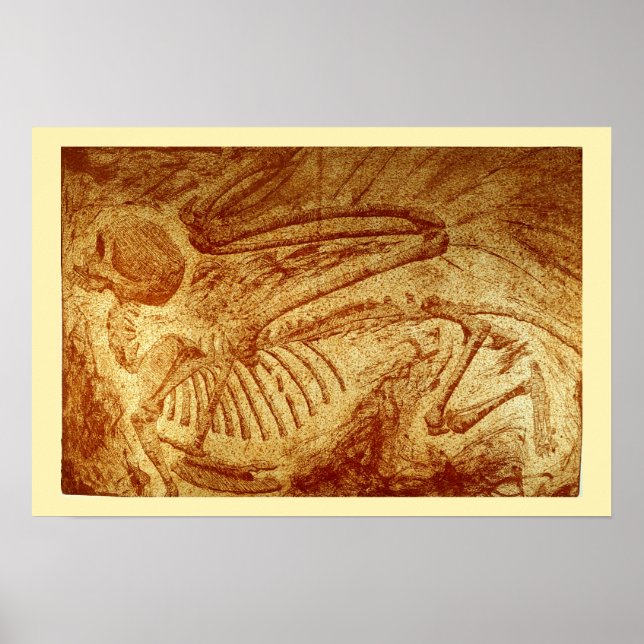 Affiche Modèle n° 2 : Sphinx Fossil (Devant)
