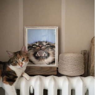 Affiche Modèle Plaintif D'Une Peinture Acrylique Tabby Cha