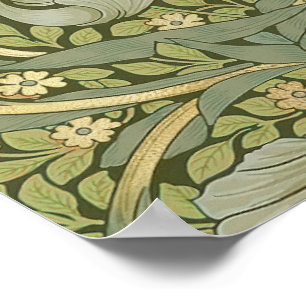 Affiche Modèle vintage Pimpernel de William Morris