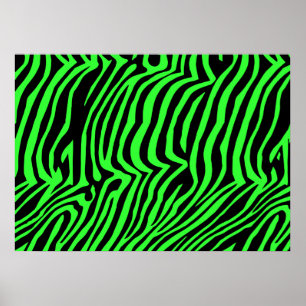Affiche Modèle zèbre vert néon couleur