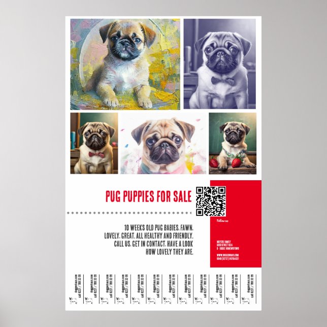 Affiche Modèles d'affiche de vente de chiots Pug (Devant)