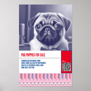 Affiche Modèles de flyers pour la vente de chiots Carlin