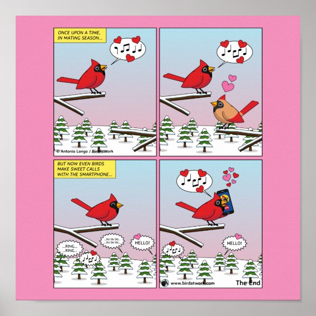 Affiche Modern Bird Mating Calls Comic (Devant)