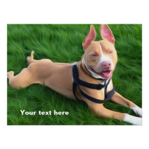 Affiche moderne avec le chien de pitbull sur