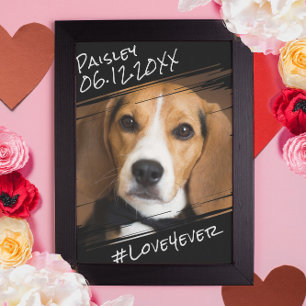 Affiche Moderne Chic Élégant Simple Noir Poet Chien Keepsa