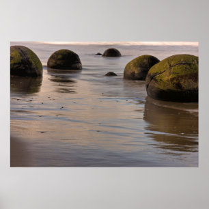 Affiche Moeraki Boulders sur la plage