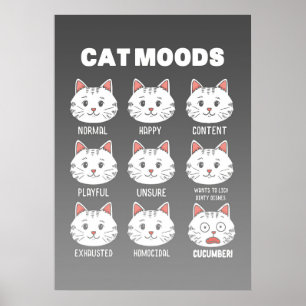 Affiche Moeurs de chats Amoureux de les chats
