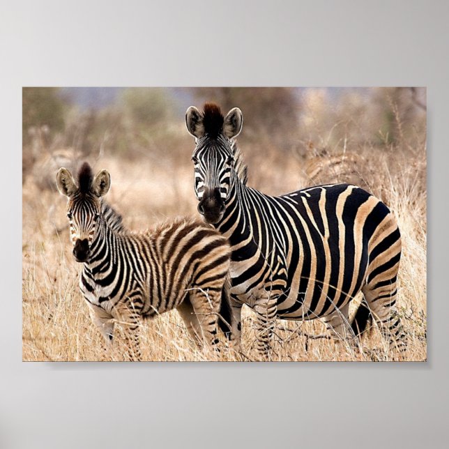 Affiche Moi et maman (Devant)