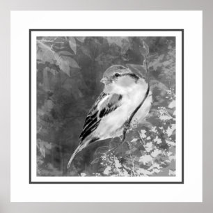 Affiche Moineau à l'aquarelle dans la forêt