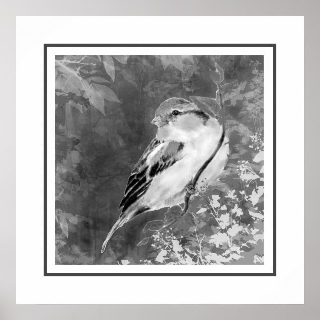 Affiche Moineau à l'aquarelle dans la forêt (Devant)