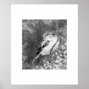Affiche Moineau à l'aquarelle dans la forêt