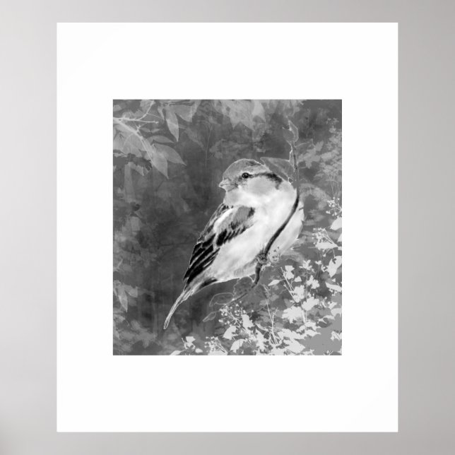 Affiche Moineau à l'aquarelle dans la forêt (Devant)