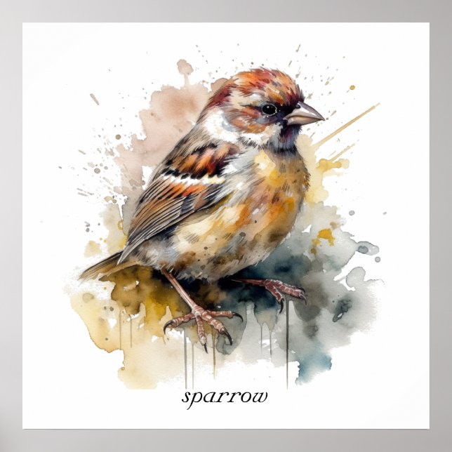 Affiche Moineau à l'aquarelle rustique, personnalisé (Devant)