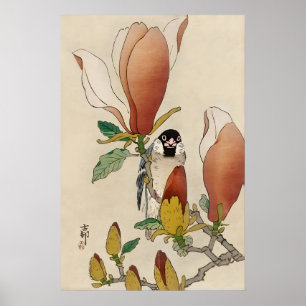 Affiche Moineau sur branche de magnolia en fleurs Fine jap
