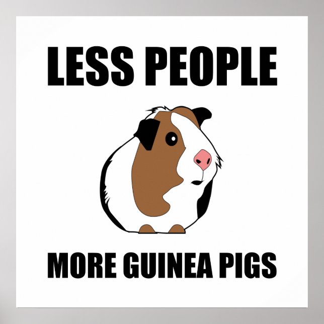 Affiche Moins de gens Plus de cochons de Guinée drôle (Devant)