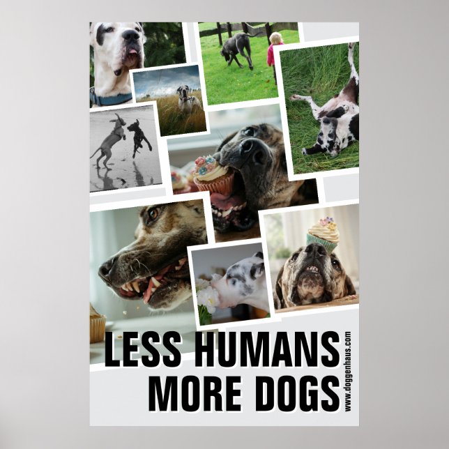 Affiche Moins d'humains, plus de chiens  (Devant)