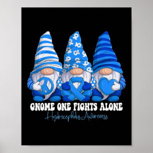 Affiche Mois de sensibilisation à l'hydrocéphalie Gnomes d