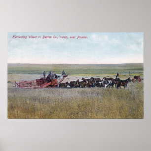 Affiche Moisson de la scène de blé