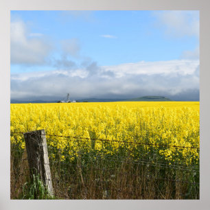 Affiche Moisson d'or