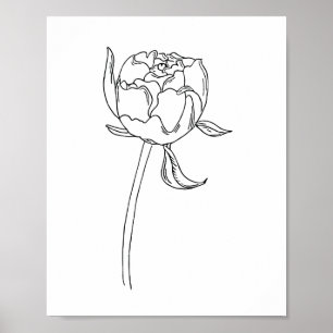 Affiche Moitié ouvert bourgeon de fleur de pivoine dessin