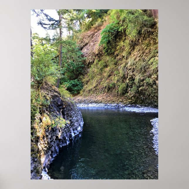 Affiche Molalla (Devant)