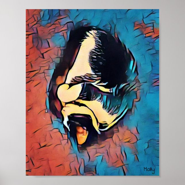 Affiche Molly the Cat (Devant)