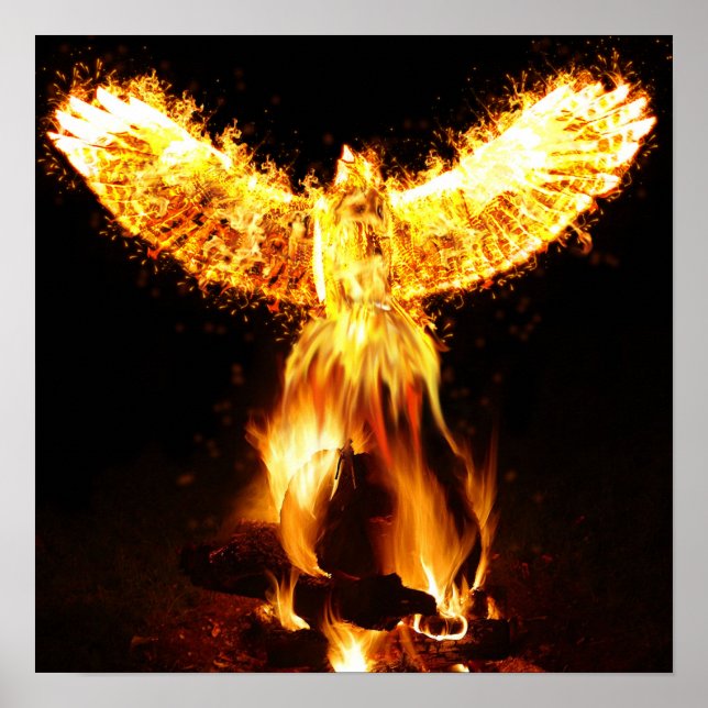 Affiche Moment de naissance (Devant)