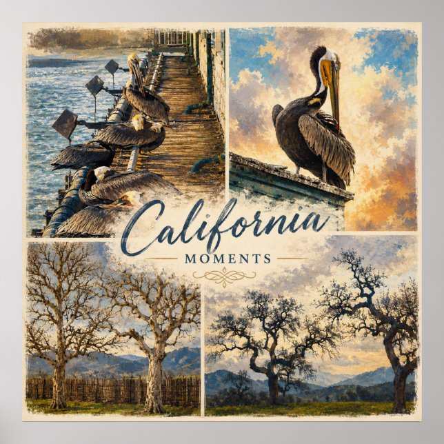 Affiche Moments de Californie (Devant)