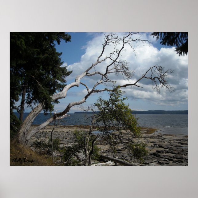 Affiche Moments Paisibles (Devant)