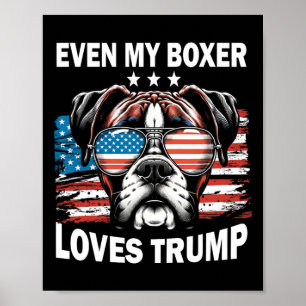 Affiche Mon boxeur aime Trump