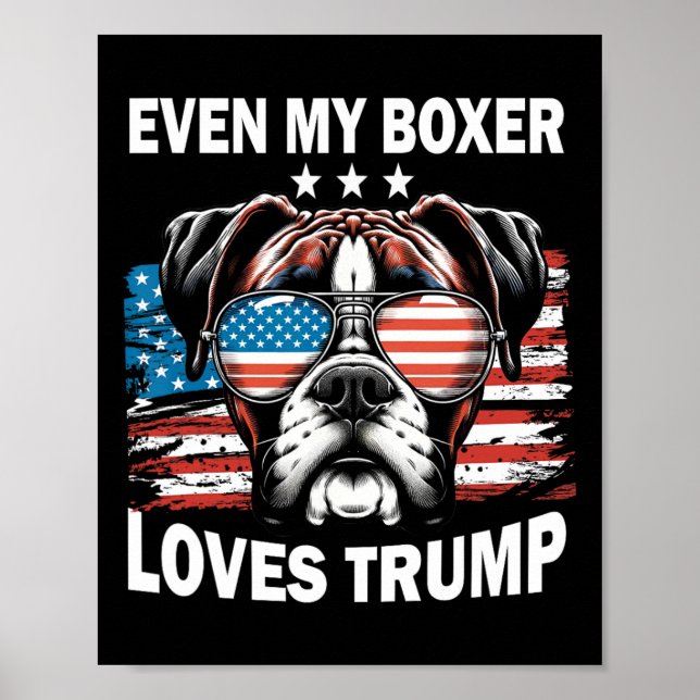 Affiche Mon boxeur aime Trump (Devant)