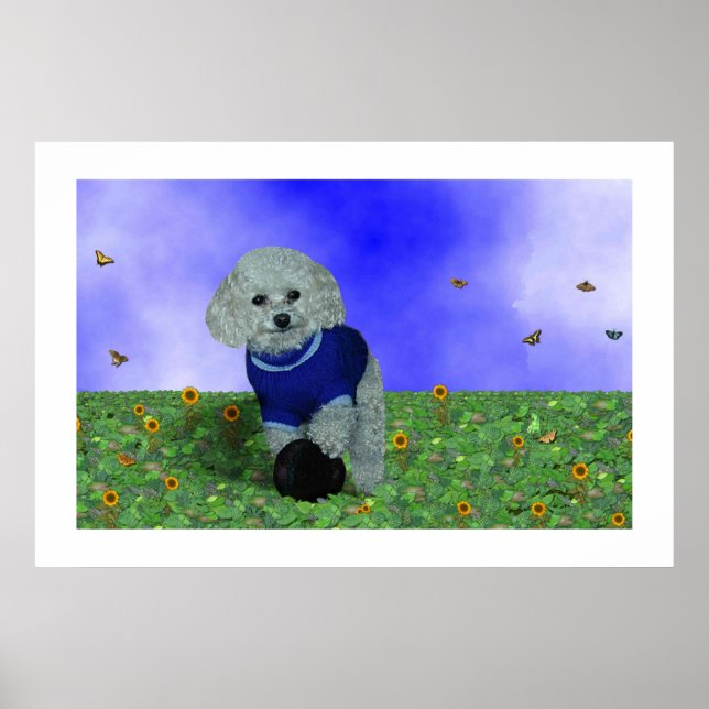 Affiche Mon caniche et sa balle. (Devant)