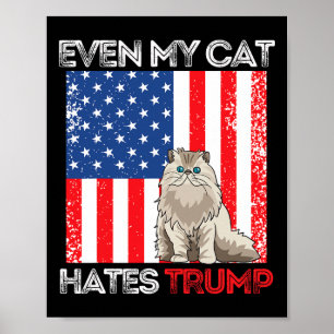 Affiche Mon chat déteste Trump contre Trump American Flag