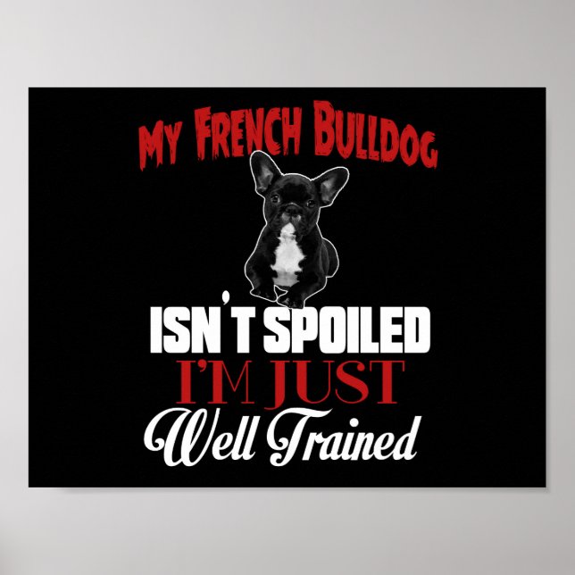 Affiche Mon Chien à la Puce n'est pas gâché (Devant)