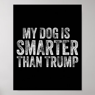 Affiche Mon chien est plus intelligent que Trump drôle ant
