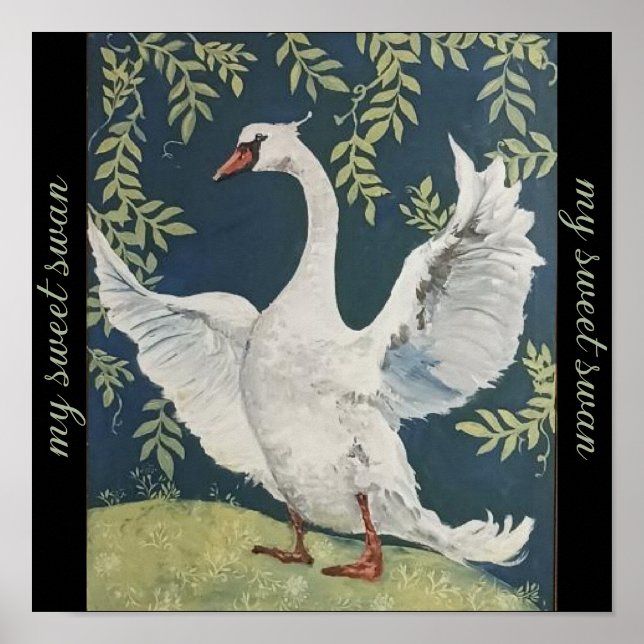 Affiche Mon cygne doux (Devant)