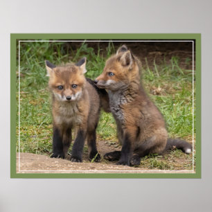 Affiche Mon frère/ma sœur mon ami