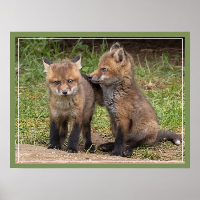 Affiche Mon frère/ma sœur mon ami (Devant)