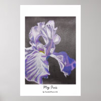 Mon Iris