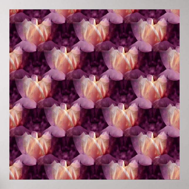 Affiche Mon lit Rose.... (Devant)