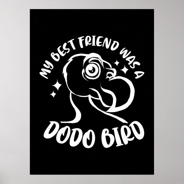 Affiche Mon Meilleur Ami Était Un Oiseau De Dodo (Devant)
