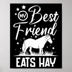 Affiche Mon meilleur ami mange du foin