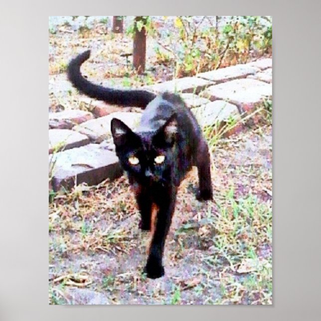 Affiche Mon nom est Kitty (Devant)