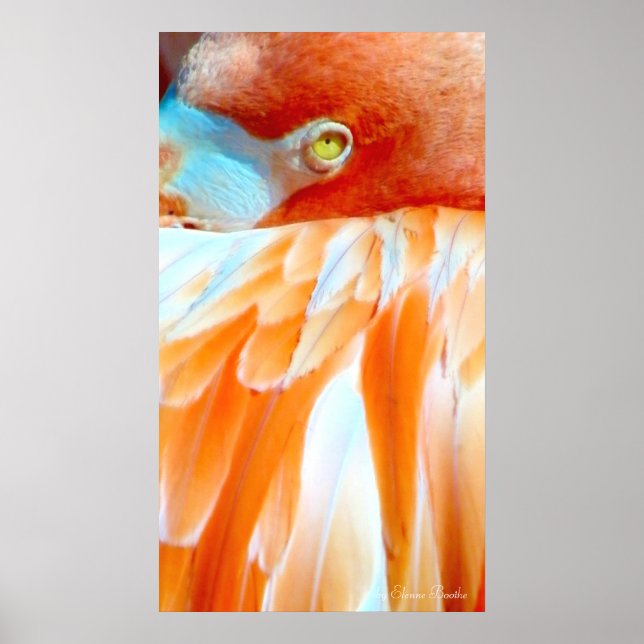 Affiche Mon oeil sur vous_Poster (Devant)