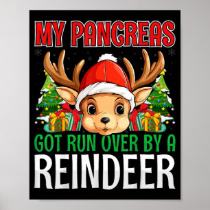 Affiche Mon pancréas a été écrasé par un renne - Noël