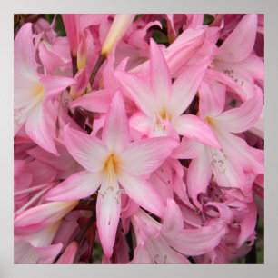 Affiche Mon petit ami qui dort.....